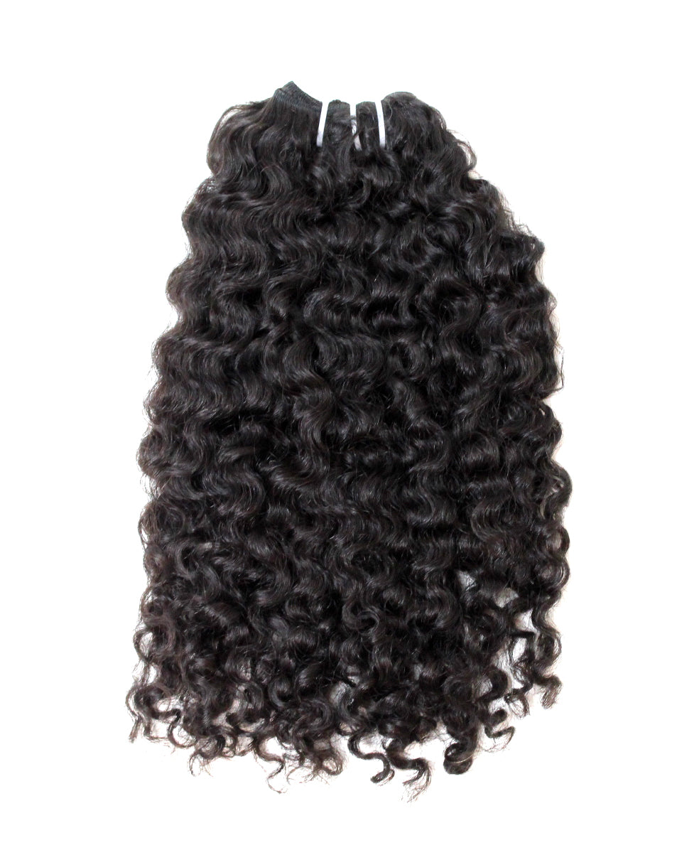 Burmese Curls
