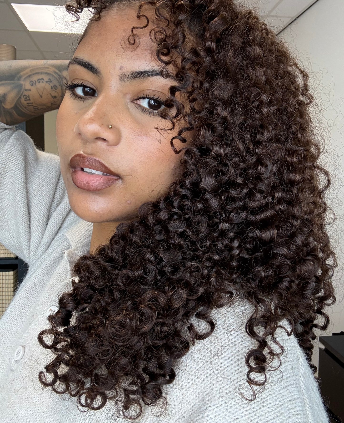 Burmese krullen kastanjebruin