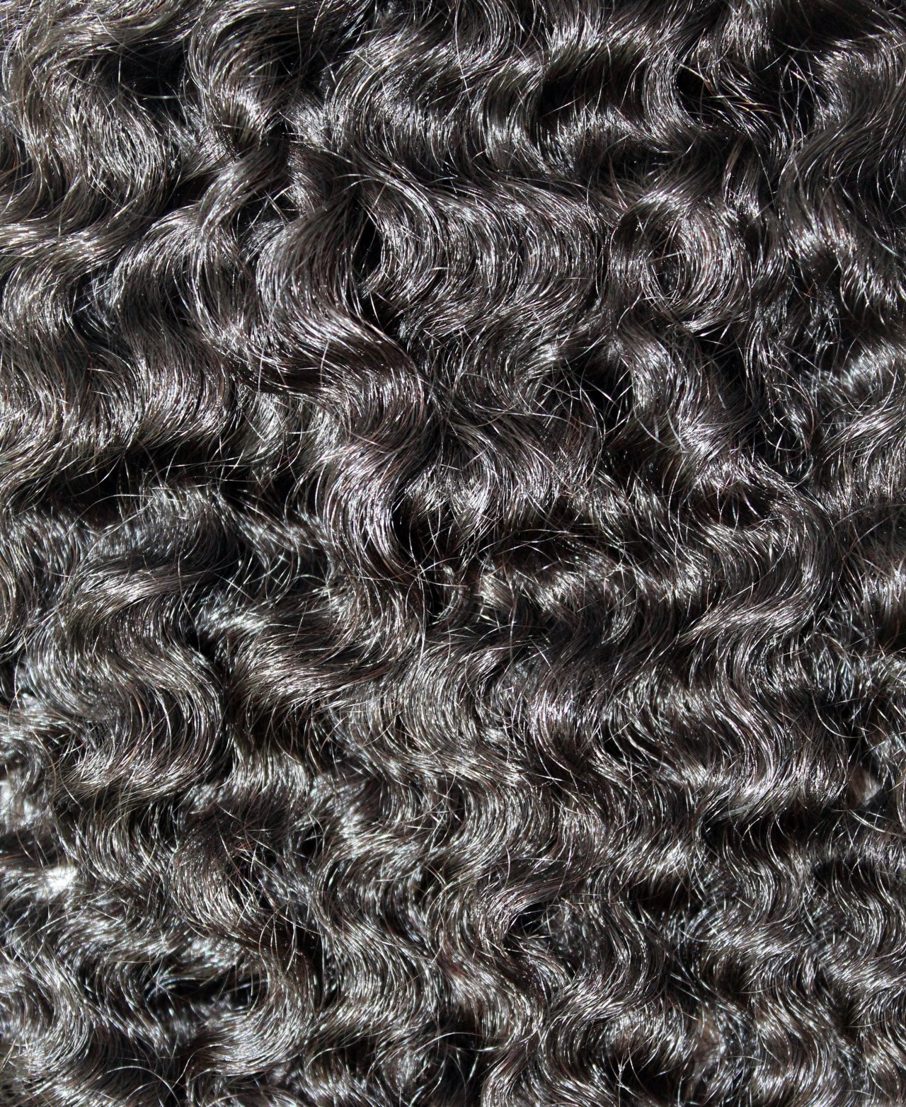 Burmese Curls