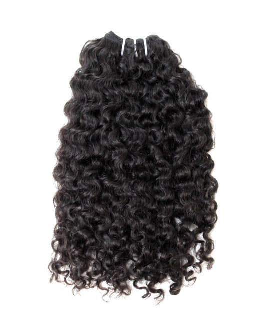 Burmese Curls