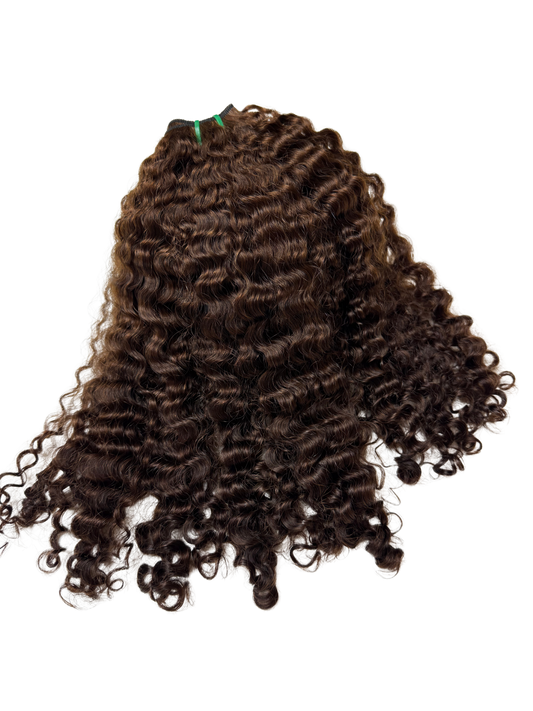 Burmese krullen kastanjebruin