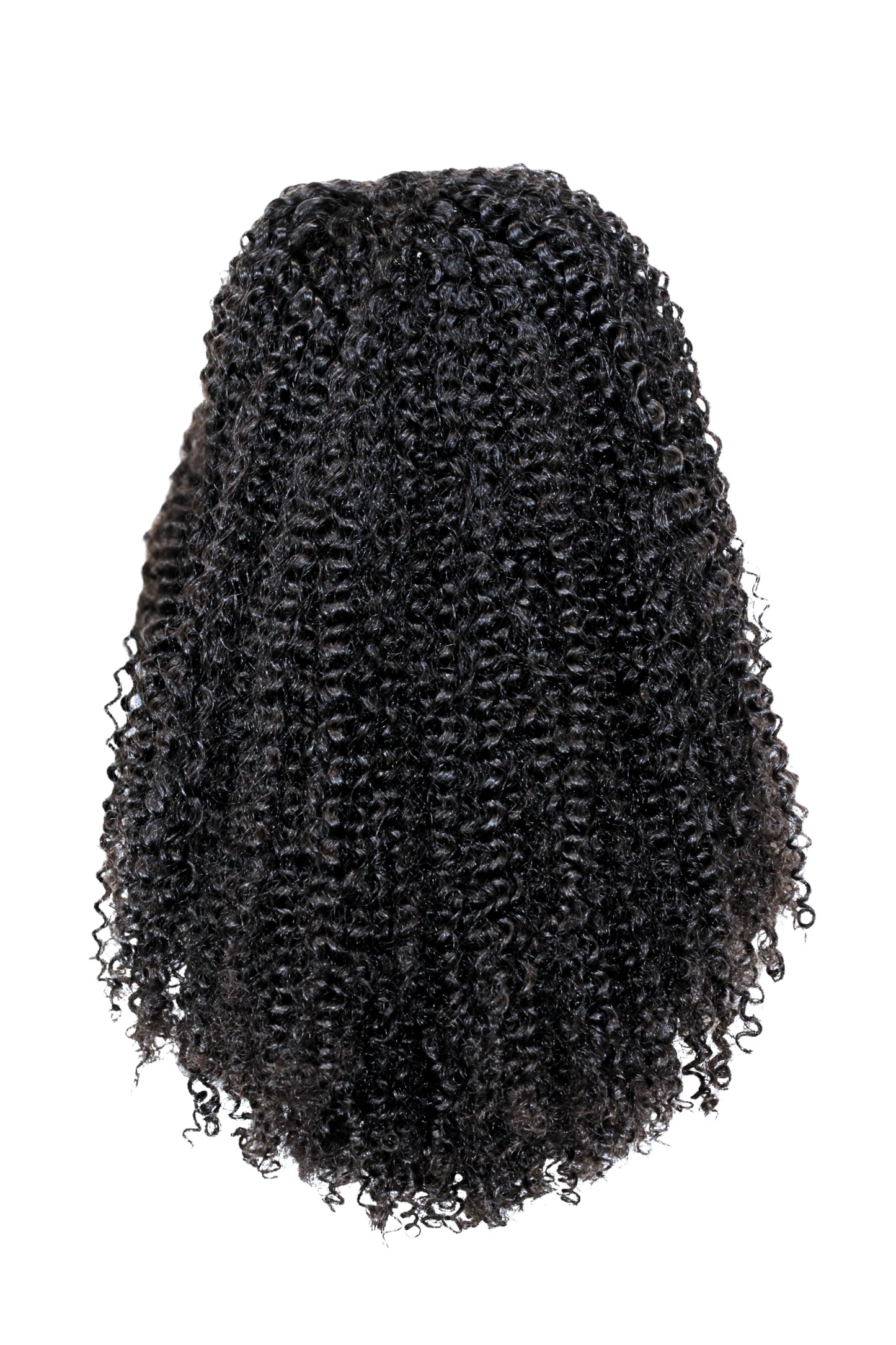 Kinky Curls Wig